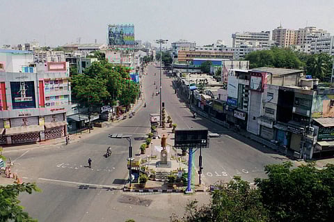 Trees on a road in Hyderabad (File photo | PTI)