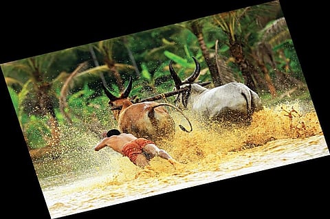 For representational purposes