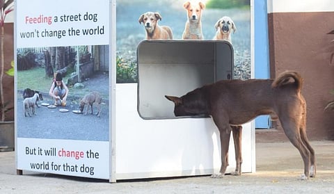 View of Nihit machine that feeds food to stray dogs in exchange of plastic bottles. (Photo| EPS)
