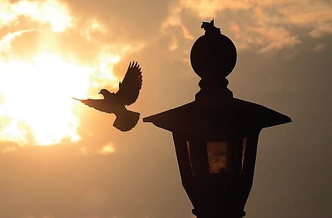 Rainfall occurred at isolated places in the coastal districts and several places in Rayalaseema. (Representational Photo | Naveen Kumar, EPS)