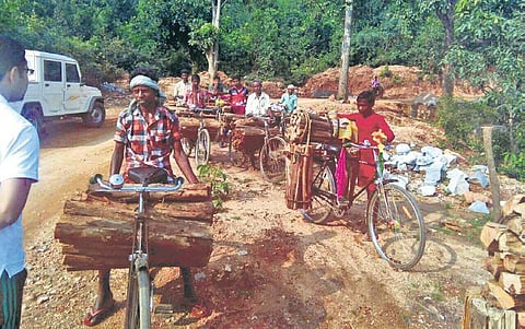 To check deforestation, villagers have been engaged in alternative livelihoods like beekeeping, bamboo craft and ecotourism. Some are employed by the forest department as fire watchers. (Photo | EPS)
