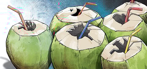 This extraordinary preoccupation with politics characterises the Malayali among all the peoples of India. (Express Illustrations)