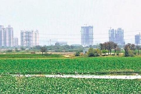 The authority has identified and listed about 1,000 waterbodies in Delhi.