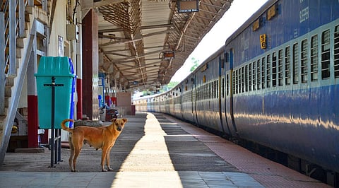 Image for representational purpose only. ( File | EPS)