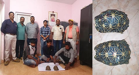 The accused were allegedly trying to sell the star tortoise for Rs 50 lakh. (Photo | Express)