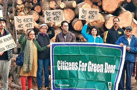 He formed ‘Citizens for Green Doon’ to save trees across Uttarakhand. (Photo | EPS)