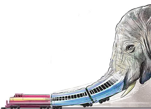 All four wheels of the front trolley of the parcel van (next to the engine) derailed after hitting the animals. (Express Illustrations)