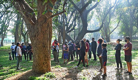 Image used for representational purposes only