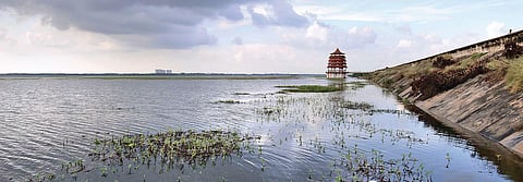 A file picture of Chembarambakkam lake on the outskirts of Chennai. (Photo | Debadatta Mallick, EPS)