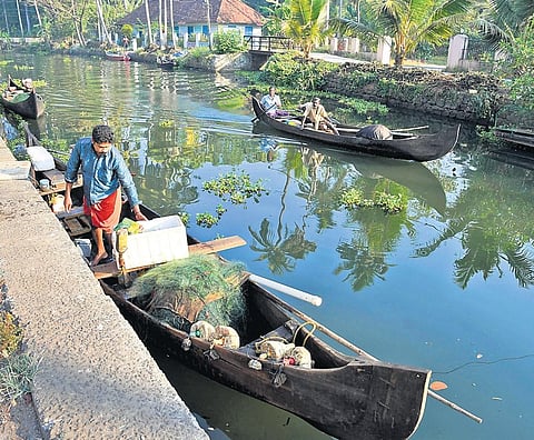 Inland fishermen casting their nets at Vembanad lake near Kumarakom in Kottayam | Albin Mathew