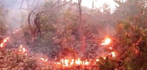 A forest fire in Nabarangpur district