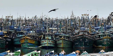 Kasimedu Fishing Harbour (Photo| P Jawahar, EPS)