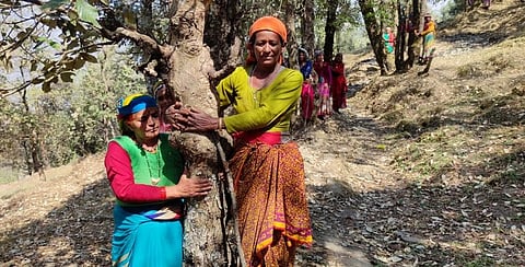 Women hug trees to prevent from felling. (Photo | Express)