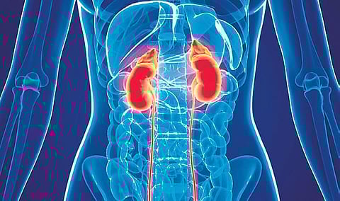 No kidding: Here’s what is wrong with your kidneys
