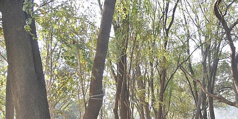 For representational purposes (Photo | EPS)