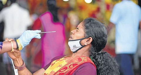 Amid the spike, the focus is on high-risk locations. Here, a healthcare worker collects samples from a woman at Koyambedu Flower Market in Chennai on Friday | R Satish Babu