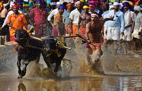 Representational Image. (Photo | Shrir