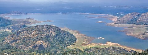 Tamil Nadu Election 2021: Hot Seat - Pollachi