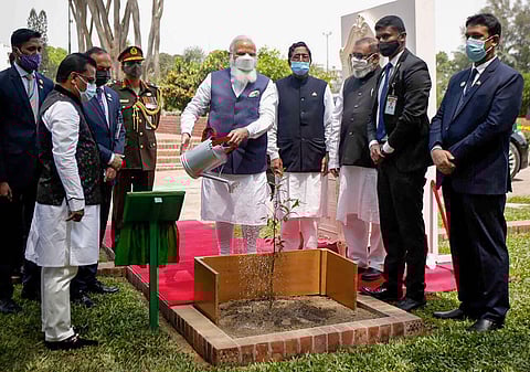 Prime Minister Narendra Modi plants Arjuna Tree sapling at Savar, on the occasion of 50th Independence Day of Bangladesh, in Dhaka, Friiday, March 26. (Photo | AP)