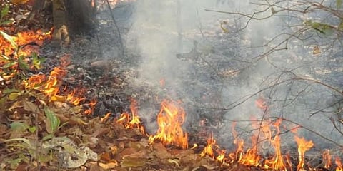 Image of a wildfire used for representational purpose (File Photo | EPS)