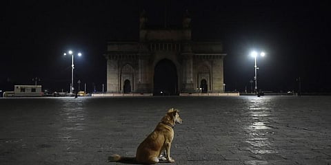 Gateway of India in Mumbai wears a deserted look as night curfew underway in wake of rising coronavirus cases. (Photo | PTI)