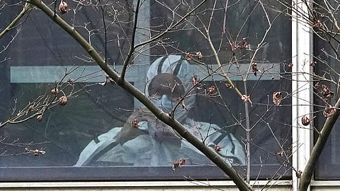 A member of a World Health Organization team is seen wearing protective gear during a field visit to the Hubei Animal Disease Control and Prevention Center.