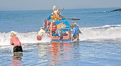 Fishermen Unni, Ponnan Ouseph, Cletus, Babu and Devassy return to the shore with the catch at Arthungal harbour | Albin Mathew