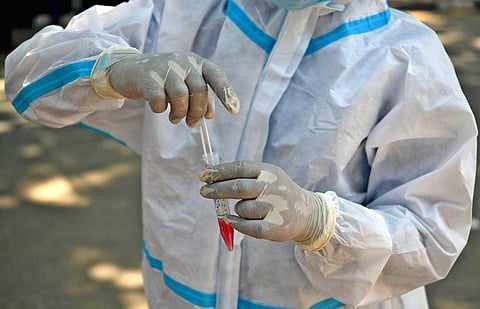 Representational Image. (Photo | Meghana Sastry, EPS)