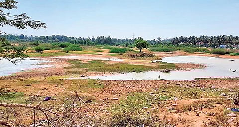 The Halanayakanahalli Lake near Sarjapur Road now looks like a barren piece of land and has become a garbage dump | Express