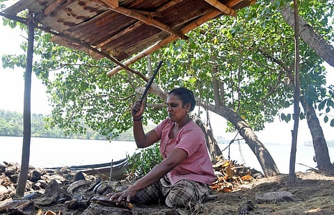 Laila, a coir worker, engaged in dehusking on the banks of Paravur lake at Kottappuram in Kollam. (Photo | B P Deepu, EPS)