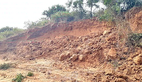 Soil dug out from Prachi river embankment at Nuagan in Niali | Express