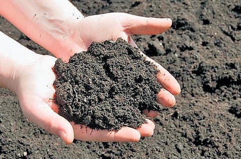 The stories also reek powerfully of the region’s unique culture and lifestyle.