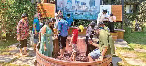 You can spend a day grape stomping and enjoy a winery tour at Grover Zampa