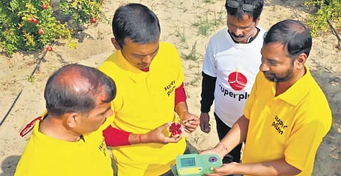 Superplum works with local farmers to help them yield quality fruits sans chemicals or pesticides