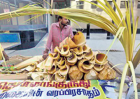 Stem of strength for the season