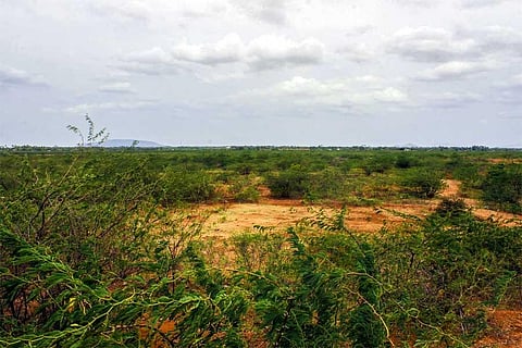 Mission impossible? Panjapatti lake waiting to get filled for years