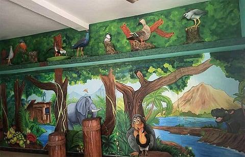 Winged visitors, nature enthusiasts pay a visit to Vellode sanctuary after makeover