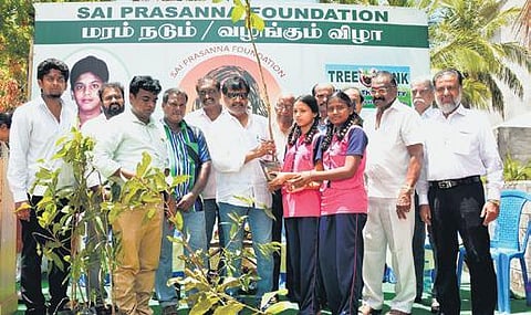 n a tree plantation drive