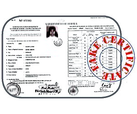 Fake certificate
(Representative Image)