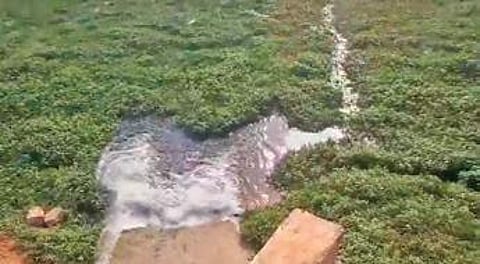 Byatarayanapura MLA and former minister Krishna Byregowda said that many amenities were provided for developing physical infrastructure around the lake from 2012-2018.