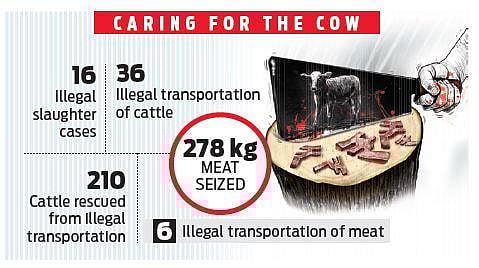 Anti-cow slaughter Act: 58 FIRs filed in 60 days in Karnataka