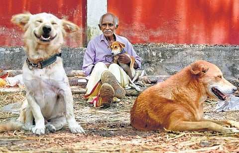 Maniyan Pillai posing with some of his furry friends at Vetturoad near Kazhakootam in Thiruvananthapuram | BP Deepu