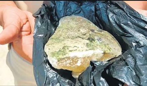 A close view of ambergris found by a fisherman at Murudeshwar. (Photo | Express)