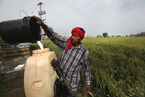 A laborer prepares pesticide to spray in standing wheat crop in Moga district of Indian state of Punjab.