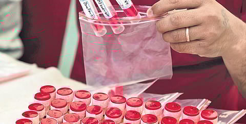 A health worker organises samples for Covid-19 test in New Delhi on Friday | PTI