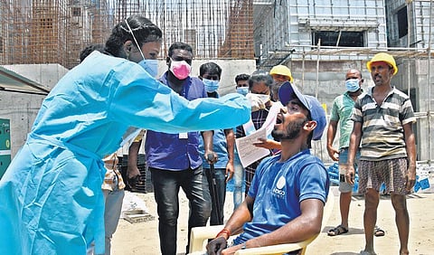 A Corporation health worker collects swab samples at a construction site at Chetpet in Chennai on Saturday. (Photo | Ashwin Prasath/EPS)