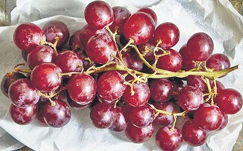 Paint Your Plate Red