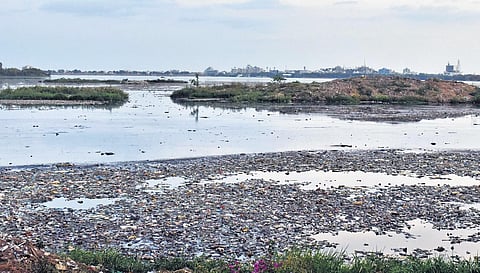 To arrest the flow of suspended solid waste from four upstream nalas into Hussainsagar, the HMDA is preparing to set up automated trash collection systems. (Photo | EPS/S Senbagapandiyan)