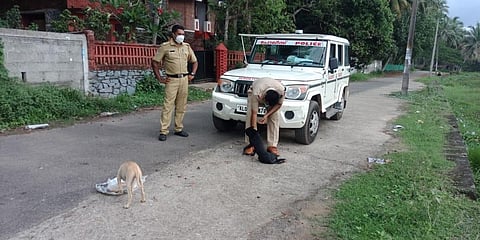 Subramaniyan feeding stray dogs near the Vellayani Lake while he is on duty is a true example of ‘serve and protect'.