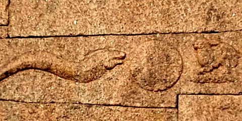 Lunar eclipse and the intelligent rabbit in Hampi